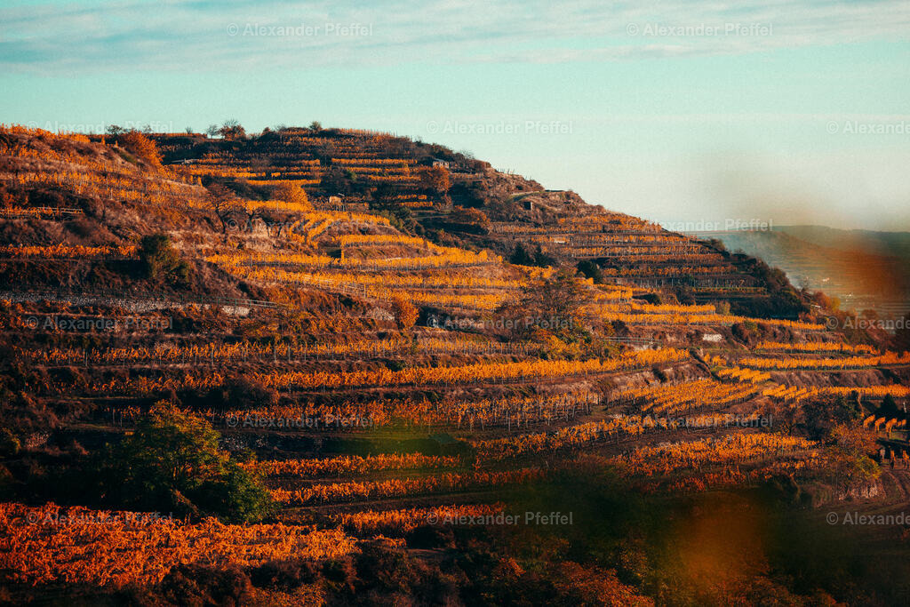 foto_c_pfeffel-partner-0105-R52_0362 | alexander-pfeffel - Realisiert mit Pictrs.com