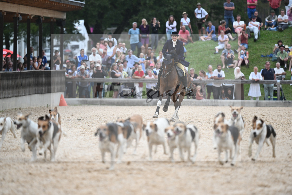 Jagdschaubild Schleppjagdverein Bayern_36240847 | hf-fotografie - Realisiert mit Pictrs.com