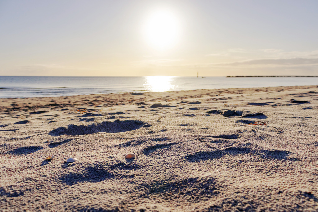 XXL Wandbild: Sonnenaufgang an der Ostsee | Dieses XXL Wandbild im Querformat zeigt einen schönen Sonnenaufgang an der Ostsee. Im Vordergrund befindet sich der Sandstrand, der durch das morgendliche Sonnenlicht schön angeleuchtet wird. Am Horizont ist der blaue Himmel noch dezent gelblich. - Realisiert mit Pictrs.com