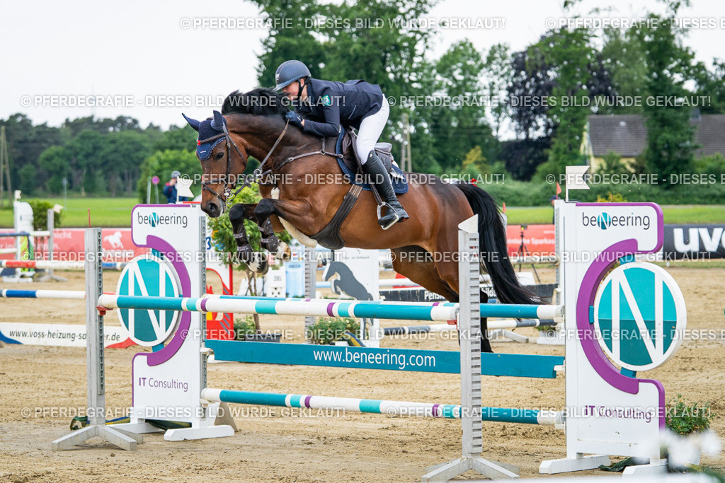 DSC05661 | Pferdegrafie