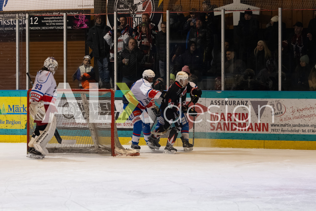 Eishockey I Herren I Saison 2025-2026 I Regio League | 3. Liga Regular Season Gr. 1 ZS | Men I 17. Spieltag I EHC Herrischried - HC Wohlen Freiamt I 01.02.2026 | Hochwertige Sportfotos kaufen & lizenzieren für Medien, Vereine, Agenturen & Sportler:innen. Entdecke professionelle Sportfotografie im Bildshop von Alexander Franzen. - Realisiert mit Pictrs.com
