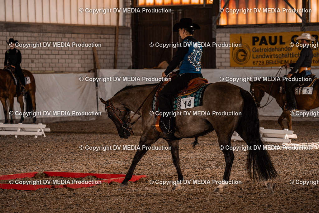 ZH200025 | dv-media-shop - Realisiert mit Pictrs.com