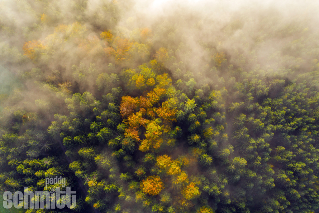 PS-Aerials-2026-94 | Entdecke die größte Bildgalerie der Region mit Fotografien aus dem Allgäu, der Bodenseeregion, Oberschwaben, dem Donautal und der Schwäbischen Alb. Landschaften, Luftaufnahmen und Reisefotografie als Wandbild und Fotokunst. - Realisiert mit Pictrs.com