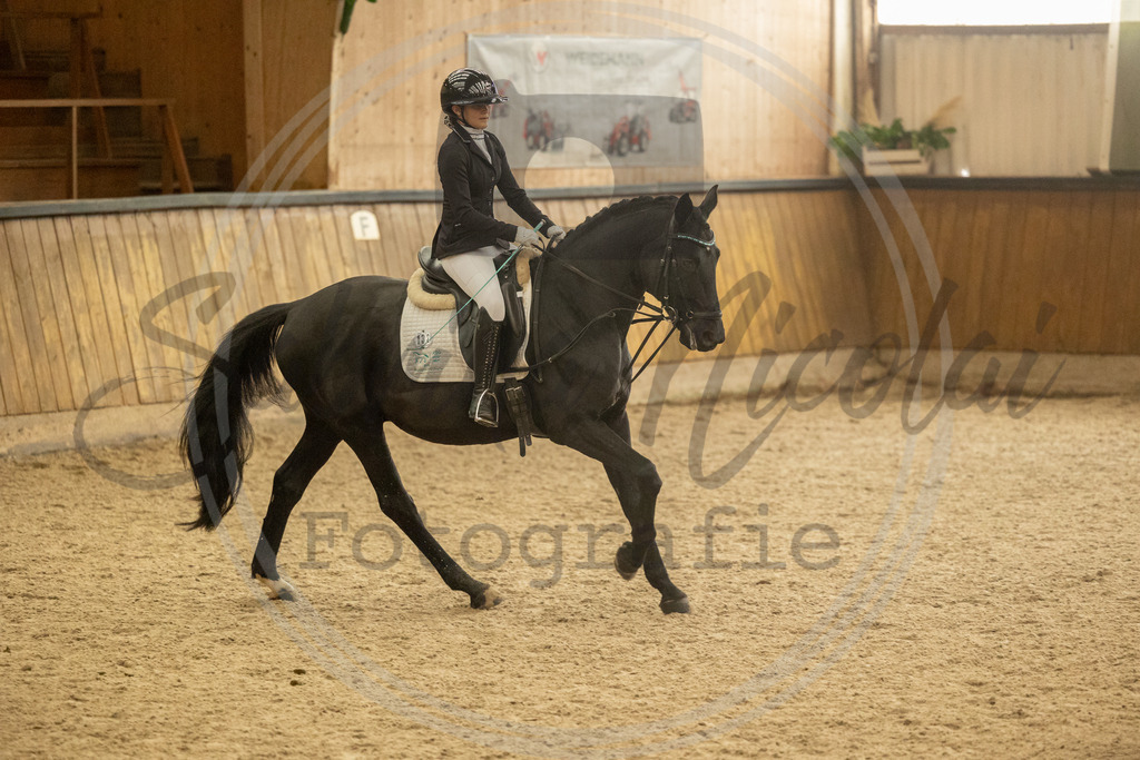 994A4163 | sabrinanicolaifotografie - Realisiert mit Pictrs.com