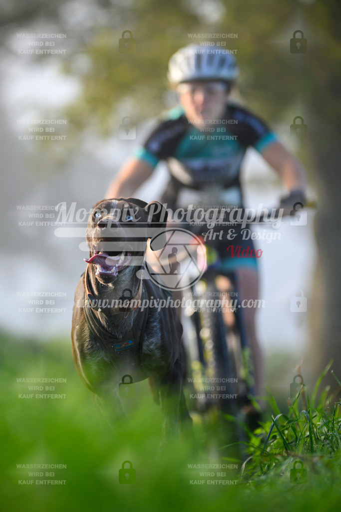 MompixPhotography_20TSB_E3_Bike-129 | PayLife