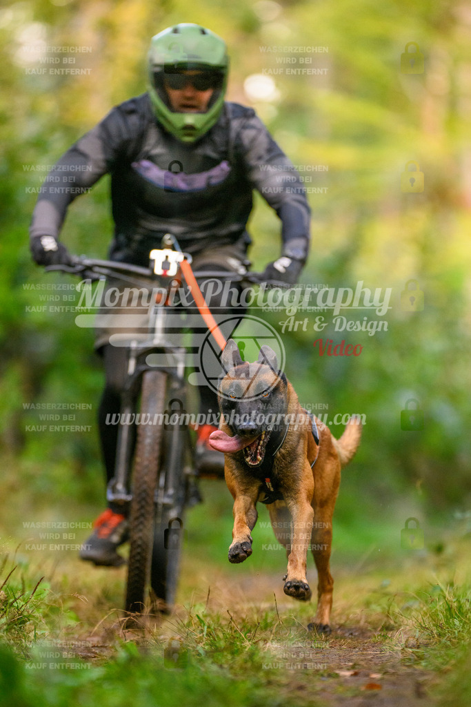 MompixPhotography_Yens2025_B1-25 | PayLife