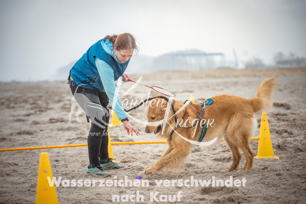 1113_ZZ97248 | kk-dogfotos