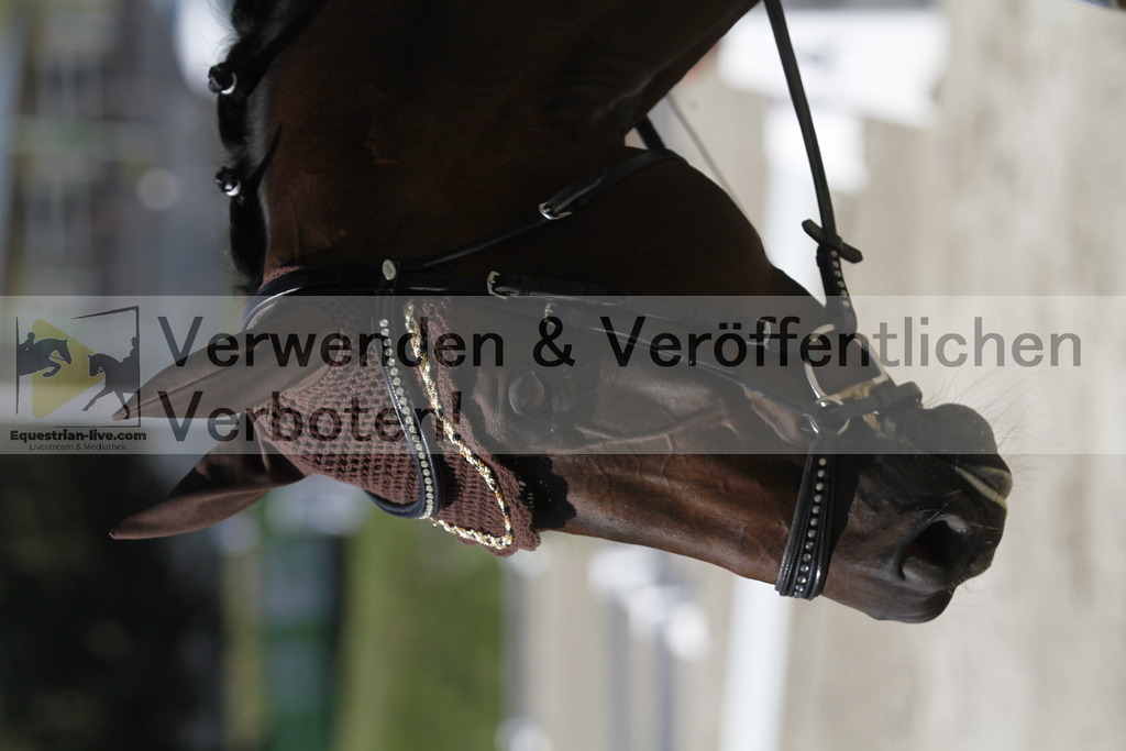 _MG_0580 | equestrian-live-com