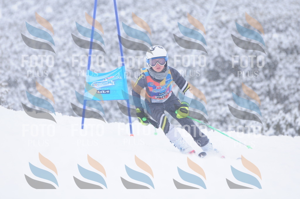 C4224 | holidayphoto