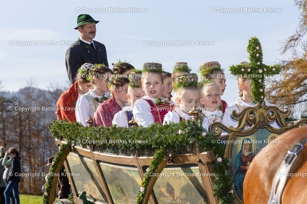 LBT24-1180 | foto-bettina-krinner - Realisiert mit Pictrs.com