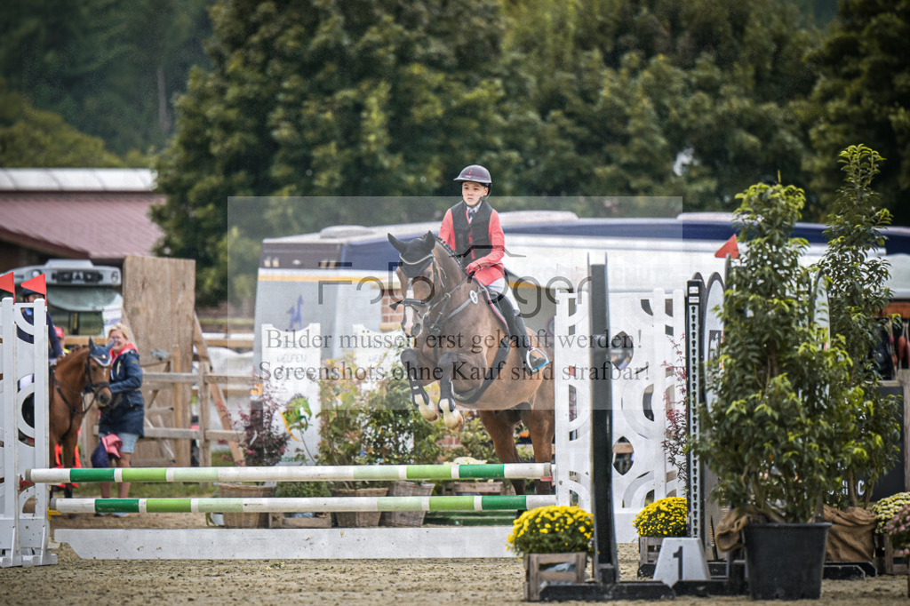 DOS_0224 | Entdecke hochwertige Reitturnierfotos von Foto Oger. Professionell, emotional und authentisch – jetzt Lieblingsmomente im Shop bestellen.Deutschlandweite Turnierfotografie. - Realisiert mit Pictrs.com