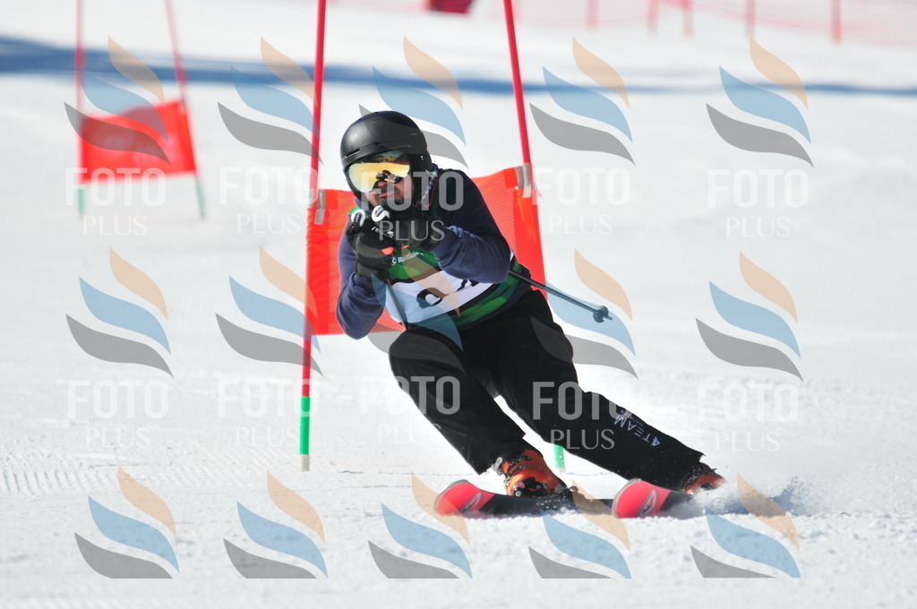 C3306 | holidayphoto