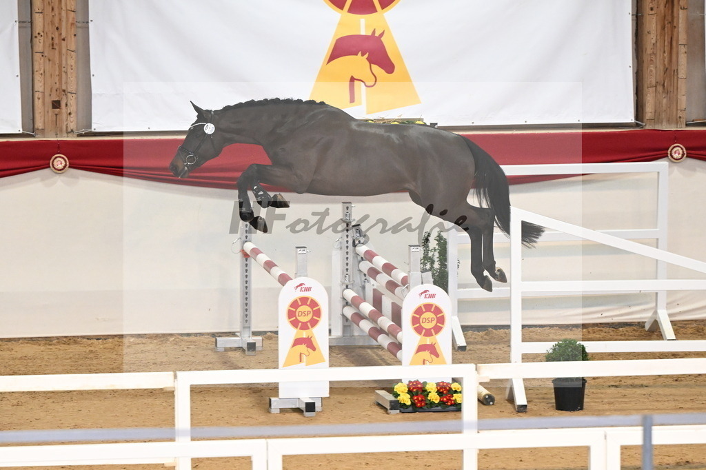 Kat.-Nr. 10 v. Conthargos_Jürgens_3261617 | hf-fotografie - Realisiert mit Pictrs.com