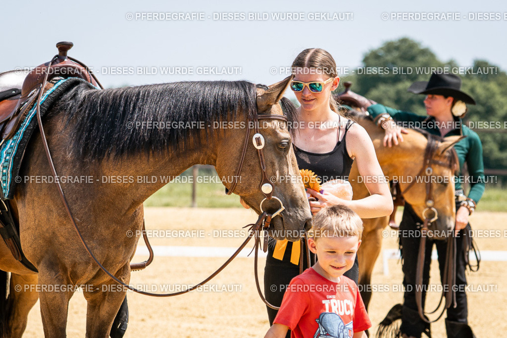 DSC01396 | Pferdegrafie