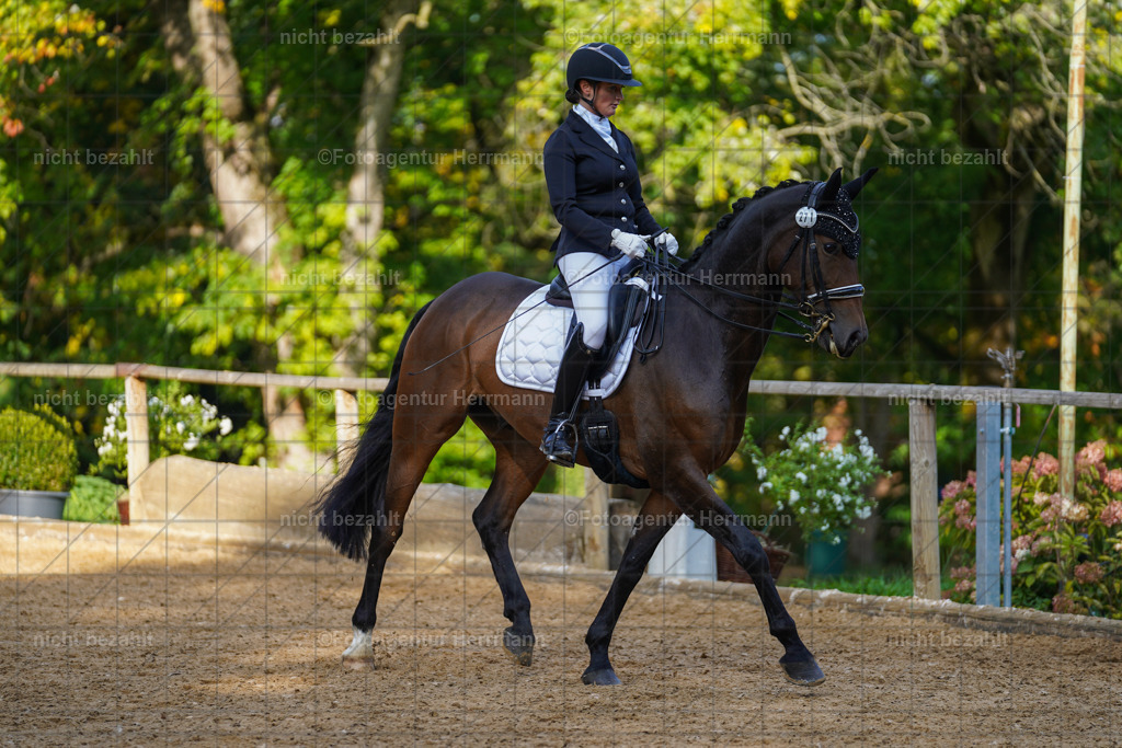 20221007-FAH00108 | Diessen am Ammersee, 2022, Dressur- und Springturnier, Reitsportbilder, Turnierfotografen Bayern, Pferdefotografen, Fotoagentur Herrmann, Turnierbilder