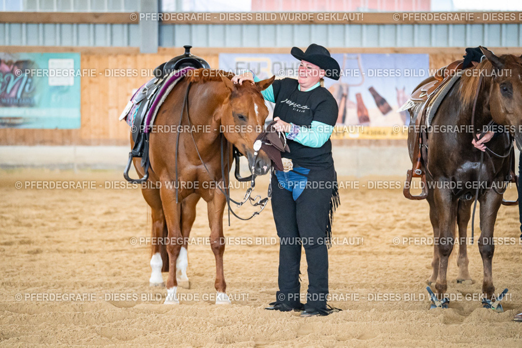 DSC09398 | Pferdegrafie