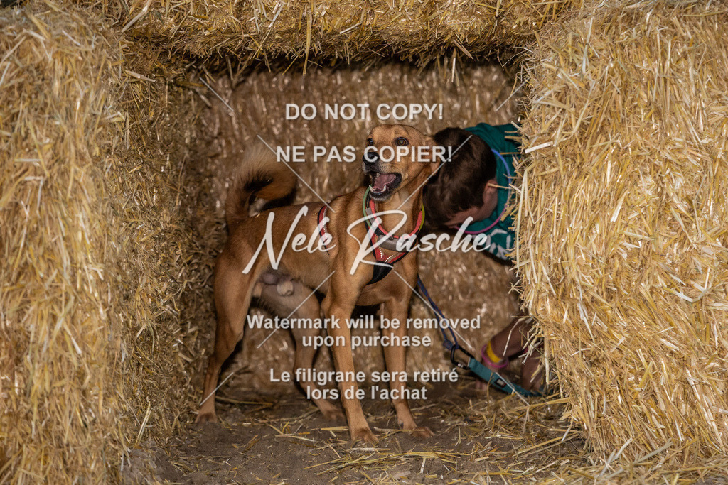 nelerasche_FrNacht_131 | nelerasche