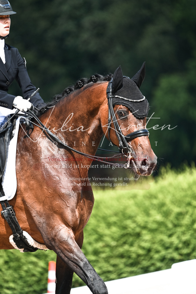 DSC_3117 | Pferde- und Turnierfotografie in Westsachsen. Pferdeportraits, Auftragszeichnungen und intuitive Kunst.
