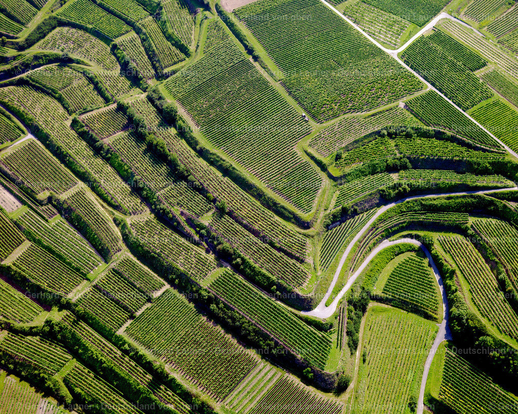 2700048 | Terrassenweinberge bei Jechtingen, Kaiserstuhl