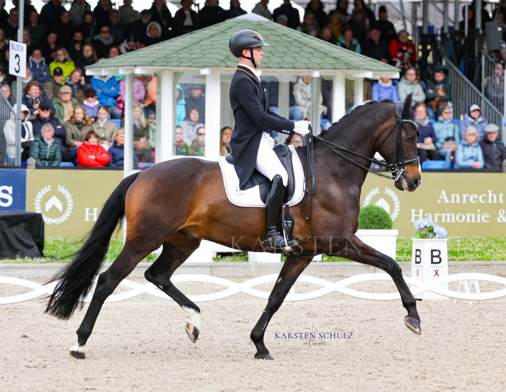 1B3A8190 | Reitsport Reiten