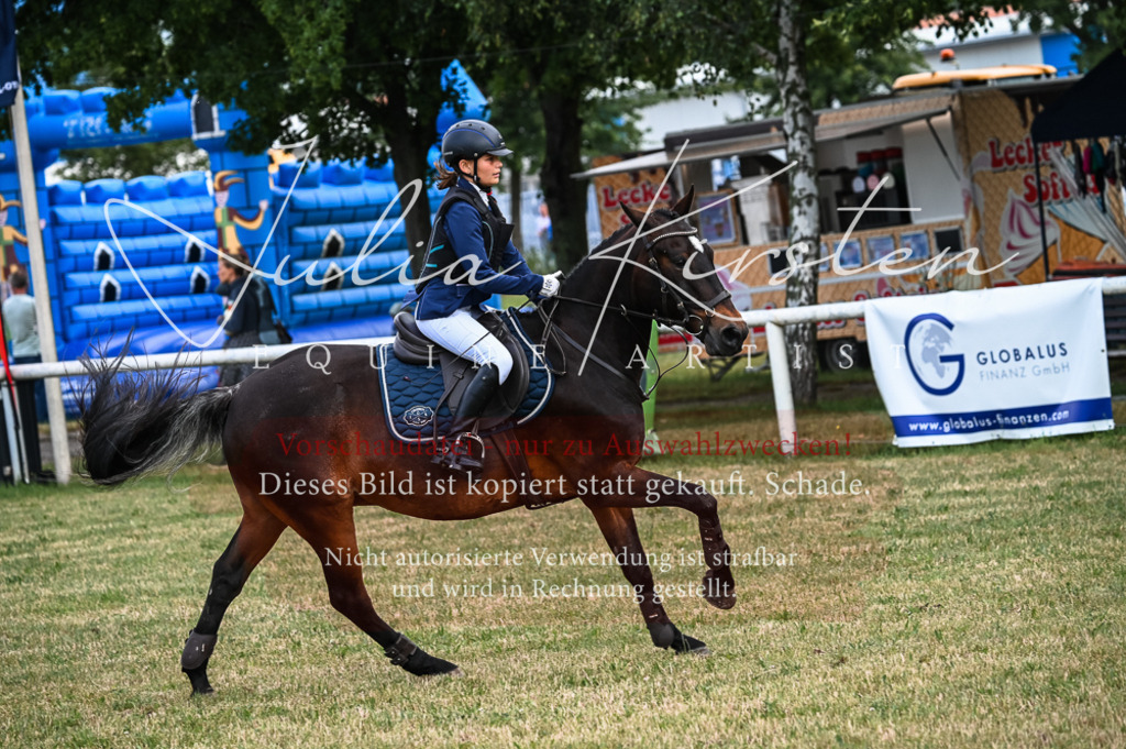 DSC_8218 | Pferde- und Turnierfotografie in Westsachsen. Pferdeportraits, Auftragszeichnungen und intuitive Kunst.