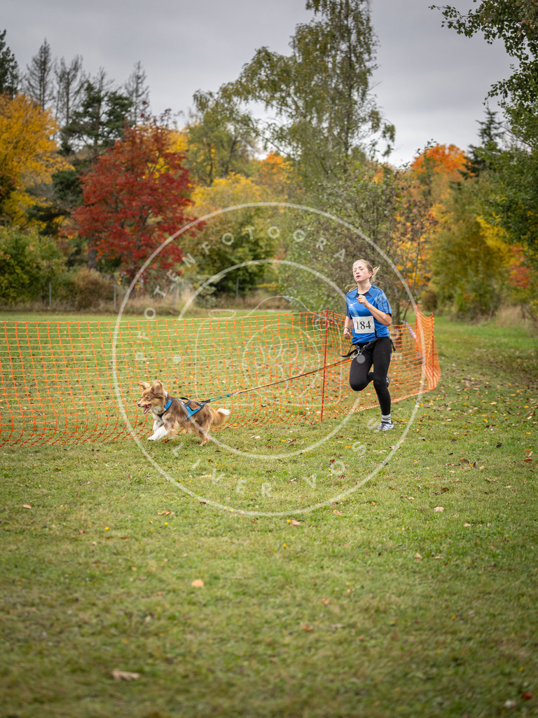Pfotenfotografie_DV3A3620 | Hundefotografie, Tierfotograf, Pfotenfotografie, Fotoshooting Hund, Hunde Portrait, Hundesport, Hundeportraits, Heideshooting, Hunde, Sportfotograf, Hundefotograf, Turnierhundsport, THS,  - Realisiert mit Pictrs.com