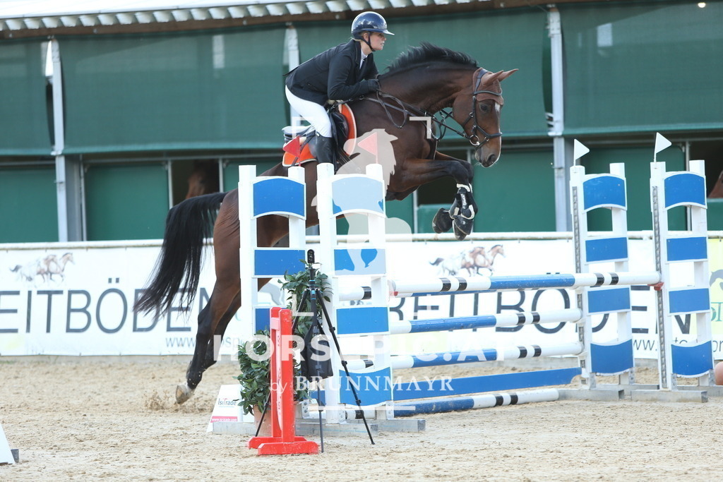 DL2Q2187 | Willkommen bei Brunnmayr - Design & Fotografie – Ihrem Spezialisten für Reitturniere und Pferdeveranstaltungen in Oberösterreich, Salzburg und Bayern! Seit über 17 Jahren sind wir leidenschaftlich dabei.