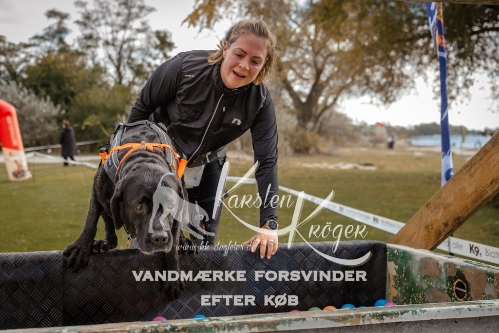 1337_ZZ91639-2 | kk-dogfotos