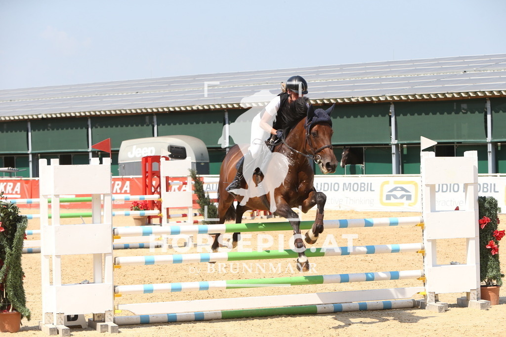 DL2Q1449 | Willkommen bei Brunnmayr - Design & Fotografie – Ihrem Spezialisten für Reitturniere und Pferdeveranstaltungen in Oberösterreich, Salzburg und Bayern! Seit über 17 Jahren sind wir leidenschaftlich dabei.