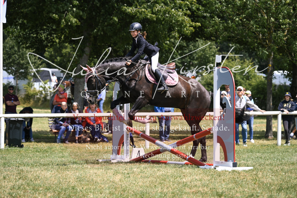 DSC_9373 | Pferde- und Turnierfotografie in Westsachsen. Pferdeportraits, Auftragszeichnungen und intuitive Kunst.