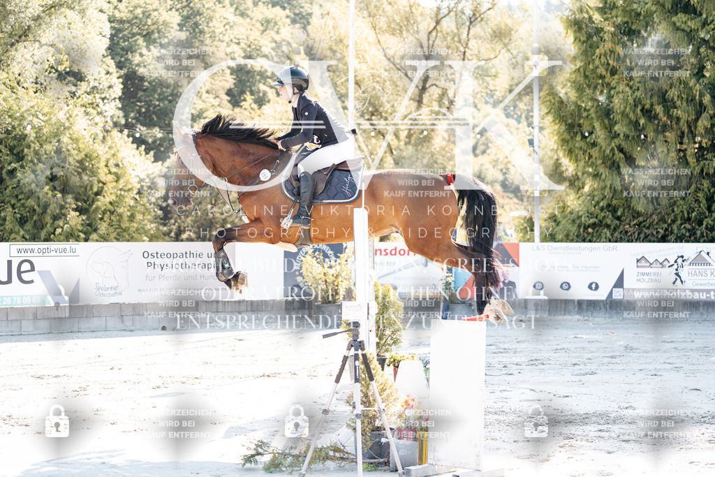CK904281 | Turnierfotografie Pferdefotografie Trier Rheinland-Pfalz Pferdesport Reitsport Tierfotografie Sportfotografie Pferdevideo Pferdevideografie Equestrianvideography equestrianphotography  - Realisiert mit Pictrs.com