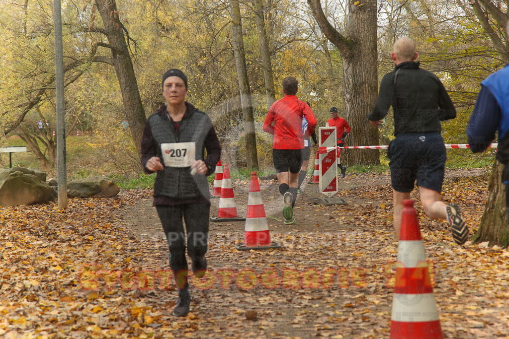 221127_1210_EX2_4250 | Sport- und Eventfotografie
