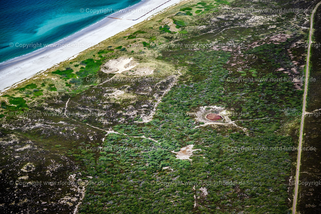 Sylt_List_Heide_In_Den_Dünen_ELS_1107210625 | LIST 21.06.2025 Küsten- Landschaft am Sandstrand der in List im Bundesland Schleswig-Holstein, Deutschland. // Coastline on the sandy beach of in List in the state Schleswig-Holstein, Germany. Foto: Martin Elsen