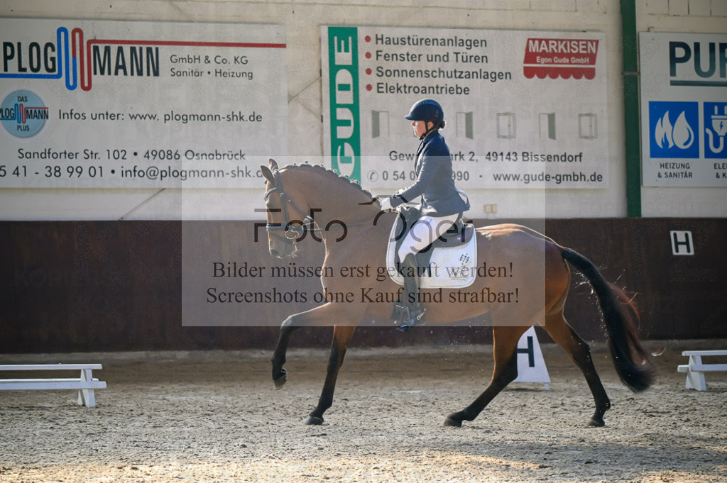 Reitturnier Voxtrup | Entdecke hochwertige Reitturnierfotos von Foto Oger. Professionell, emotional und authentisch – jetzt Lieblingsmomente im Shop bestellen.Deutschlandweite Turnierfotografie. - Realisiert mit Pictrs.com