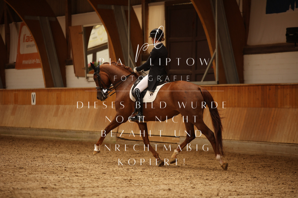 IMGM1071 | pl-fotografie