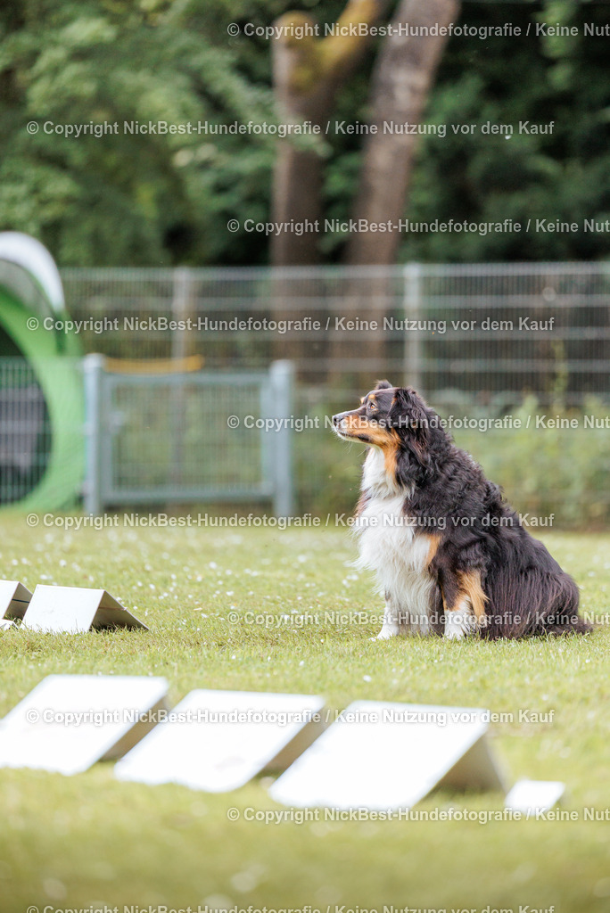RO-Blumenthal-2026-Nickbest-Hundefotografie-2242 | Dein Hund! Dein Moment! Deine Erinnerungen! Hundefotografie in Bremen Blumenthal. Ich fange die besonderen Momente deines Vierbeiners ein – ob Indoor mit Blitzanlage oder in der freien Natur. Sicher dir dein Moment und dein Termin für eure Erinnerungen.