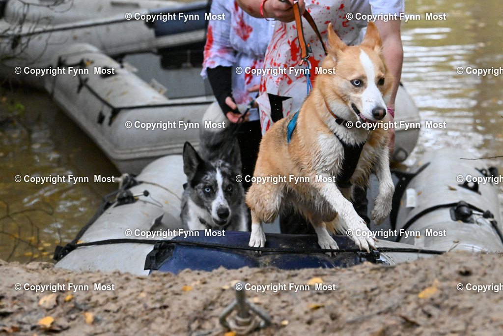 DSC_6345 | Hallo und herzlich Willkommen auf meiner Shop-Seite Fynn Most.

Ich wünsche Dir viel Spaß beim stöbern durch die Bilder, wenn Du Fragen hast oder Bilder vermisst, kannst du mir gerne eine Nachricht schreiben. - Realisiert mit Pictrs.com