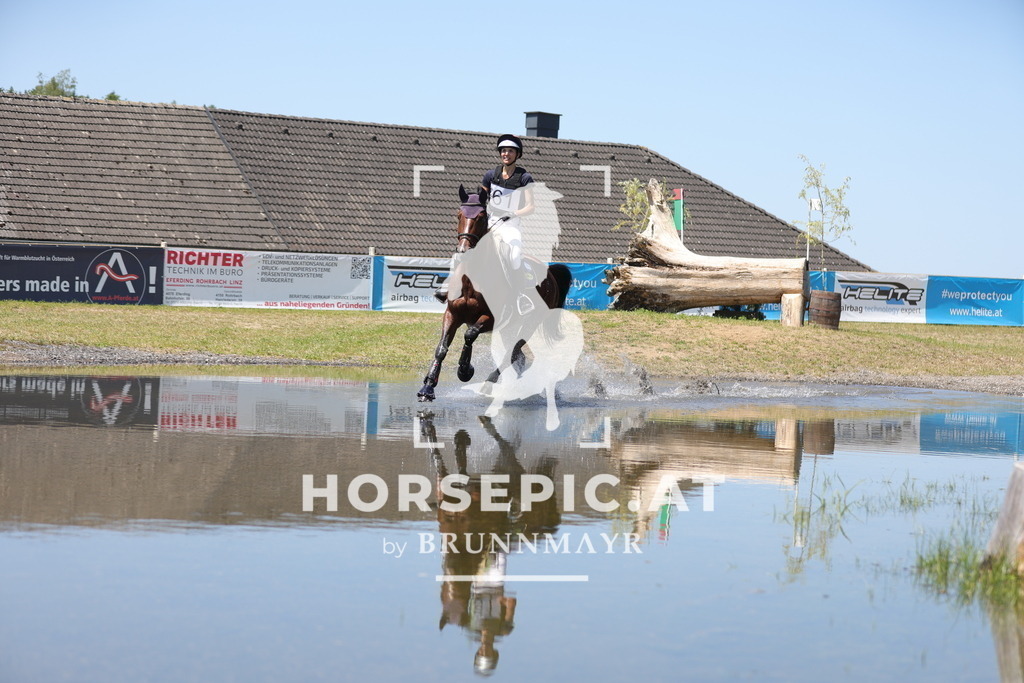 0P6A4570 | Willkommen bei Brunnmayr - Design & Fotografie – Ihrem Spezialisten für Reitturniere und Pferdeveranstaltungen in Oberösterreich, Salzburg und Bayern! Seit über 17 Jahren sind wir leidenschaftlich dabei.