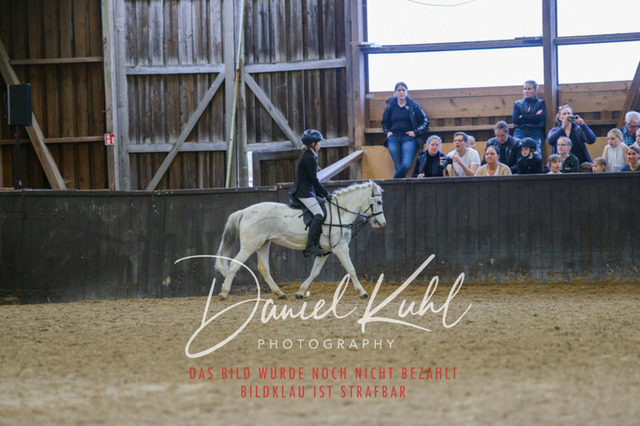 IMG_1464 | Turniersportfotografie; Pferdefotografie; Dressurfotografie