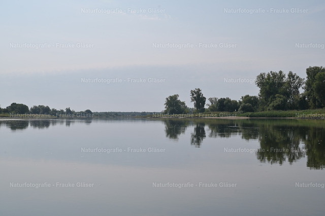 F.Gläser_0999 | Naturfotografie Frauke Gläser - Realisiert mit Pictrs.com