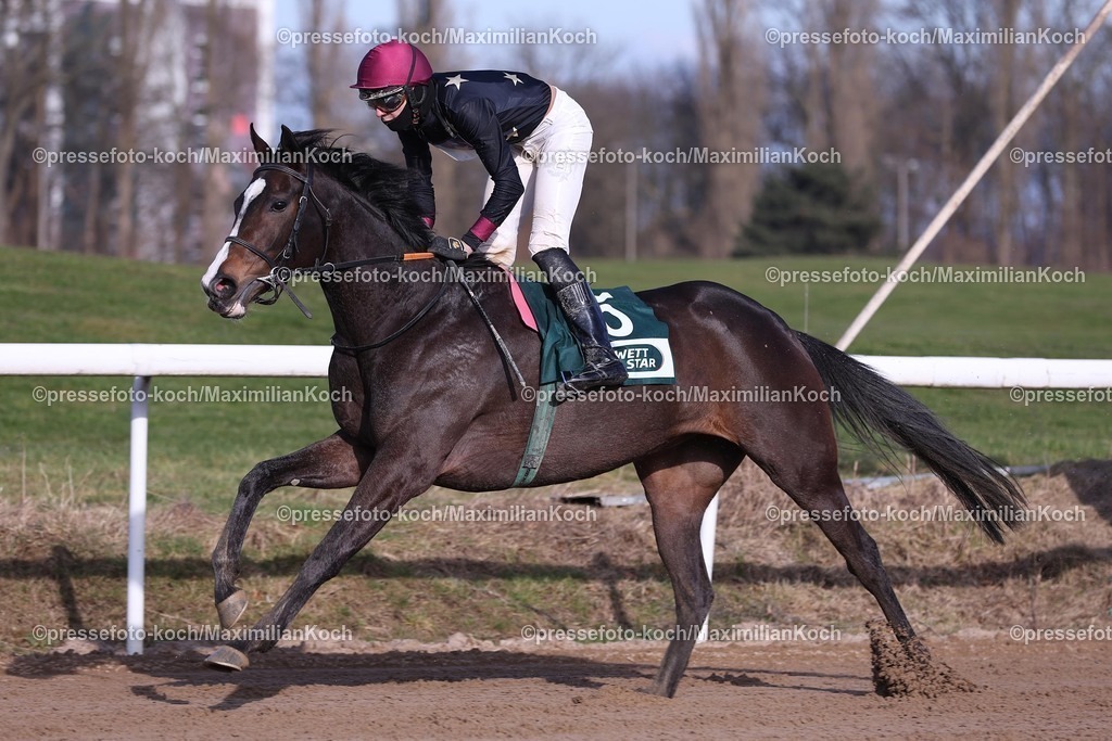 Do16022506007 | Russian Sochi siegt unter Leon Wolff am 16.02.2025 Renntag in Dortmund. Copyright by Marc Ruehl - Veroeffentlichung nur gegen Honorar (zzgl.MwSt), Namensnennung und Beleg, Bank Routing Number: BIC GENODED1PAF, Bank Account Number: IBAN DE04 3706 2600 1201 6180 17, Steuer-Nr.: 203/5266/0306, Ust_Id_Nr.: De 122081417, Zur Gaulshuette 29, 50181 Bedburg, Phone: +49-(0)2272-83351, www.marcruehl.com, info@marcruehl.com, No Model Release, Abtretung von Persoenlichkeitsrechten der abgebildeten Person/Personen liegen nicht vor. Speichern in Bilddatenbanken oder Vervielfaeltigung ist ohne schriftliche Genehmigung nicht gestattet.