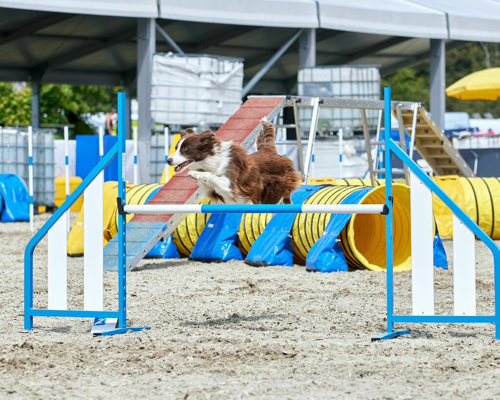 580A0130 | Peter Fridle Fotografie - Realisiert mit Pictrs.com