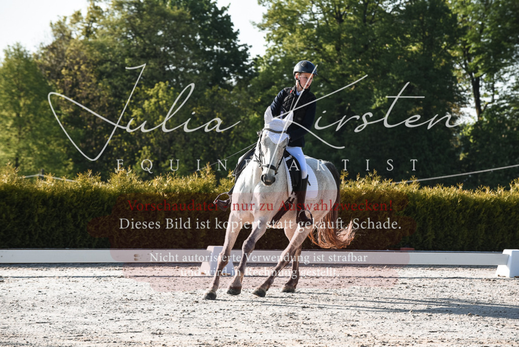 20230518_JK-Röhrsdorf-09-0203 | Pferde- und Turnierfotografie in Westsachsen. Pferdeportraits, Auftragszeichnungen und intuitive Kunst.