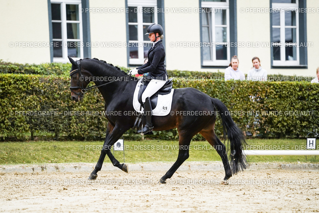 DSC07183 | Pferdegrafie