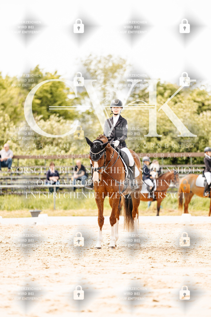 CK902281 | Turnierfotografie Pferdefotografie Trier Rheinland-Pfalz Pferdesport Reitsport Tierfotografie Sportfotografie Pferdevideo Pferdevideografie Equestrianvideography equestrianphotography  - Realisiert mit Pictrs.com