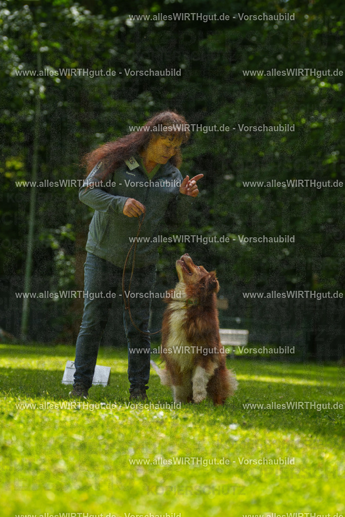 @allesWIRTHgut_Tierfotografie - www.allesWIRTHgut.de - 7R500820 | Professionelle Tierfotografie in Mönchengladbach von Daniel Wirth (allesWIRTHgut). Liebevolle & natürliche Bilder von Hunden & Katzen für unvergessliche Erinnerungen.