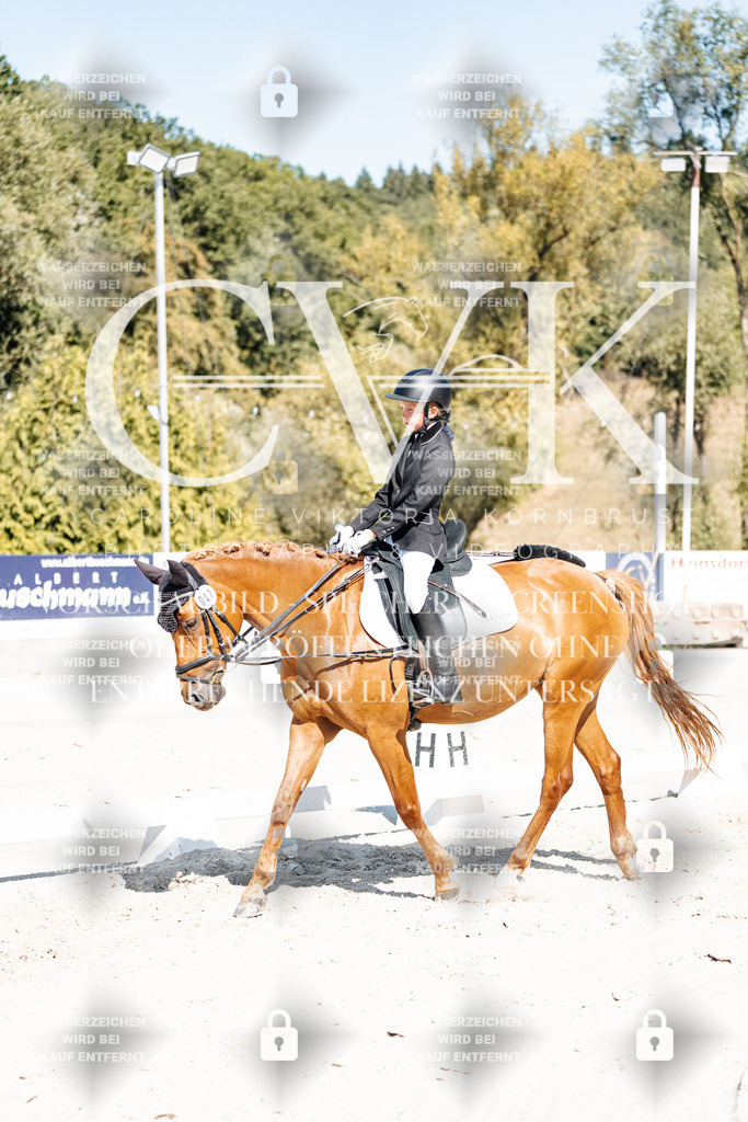 CK902989 | Turnierfotografie Pferdefotografie Trier Rheinland-Pfalz Pferdesport Reitsport Tierfotografie Sportfotografie Pferdevideo Pferdevideografie Equestrianvideography equestrianphotography  - Realisiert mit Pictrs.com