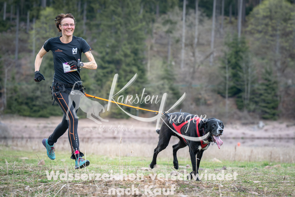 1813_ZZ94498 | kk-dogfotos