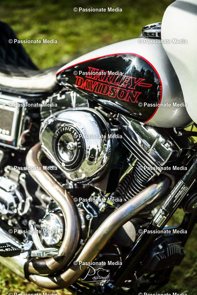 DSC08301 | Passionate Media, dein Fotograf aus Brandenburg, Märkisch Oderland, im Bereich Motorsport, Autos und Motorräder sowie Events und auch Hunde. Shootings oder auch Eventbegleitungen können bei mir gebucht we