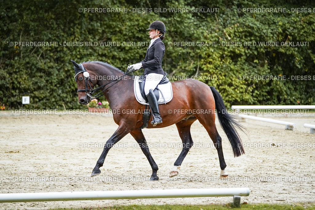 DSC00520 | Pferdegrafie